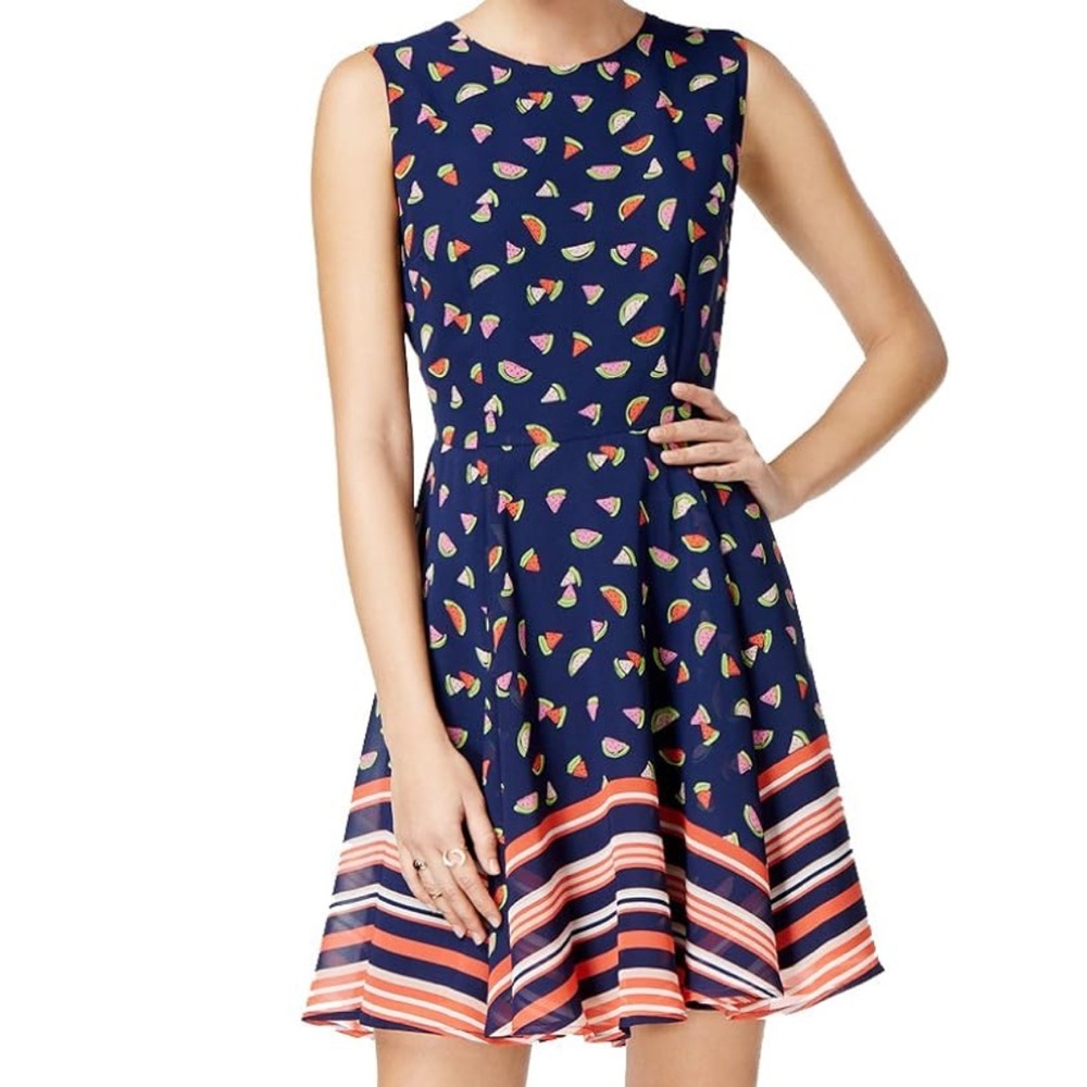 Mason Jules Fit and Flare Navy Dress with Watermelon Print